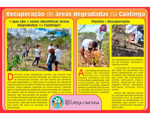 Recuperação de áreas degradadas na Caatinga