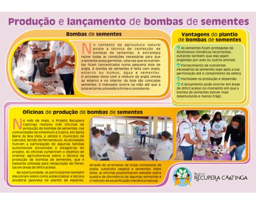 Produção e lançamento de bombas de semente