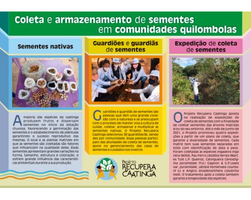 Coleta e armazenamento de sementes em comunidades quilombolas